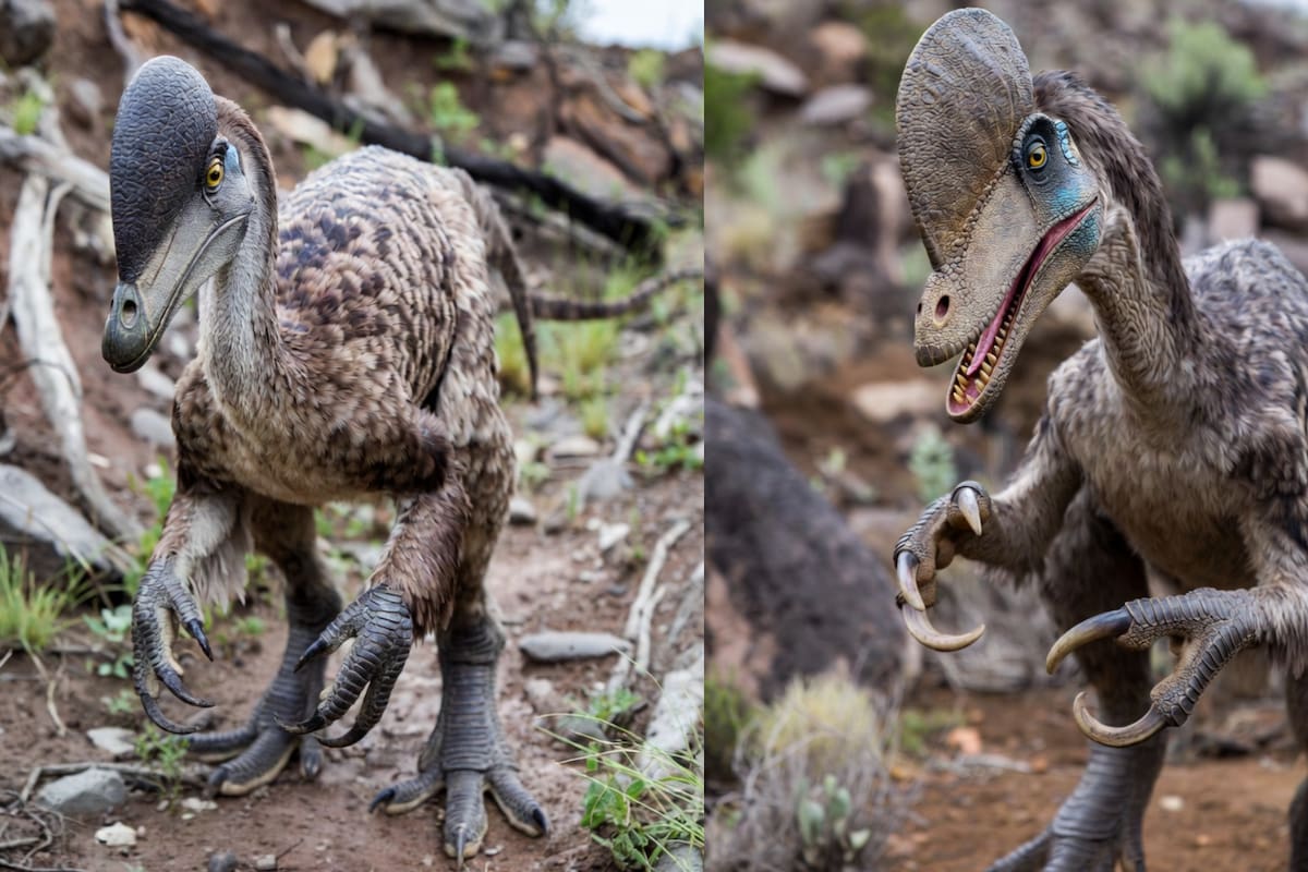 Descubren en Coahuila un nuevo dinosaurio carnívoro del Cretácico Tardío