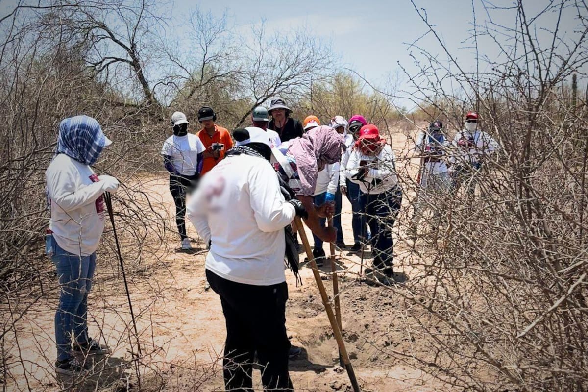“Nos amenazaron ya con pistola en mano”: padres buscadores relatan los riesgos de salir al campo para encontrar a sus familiares desaparecidos