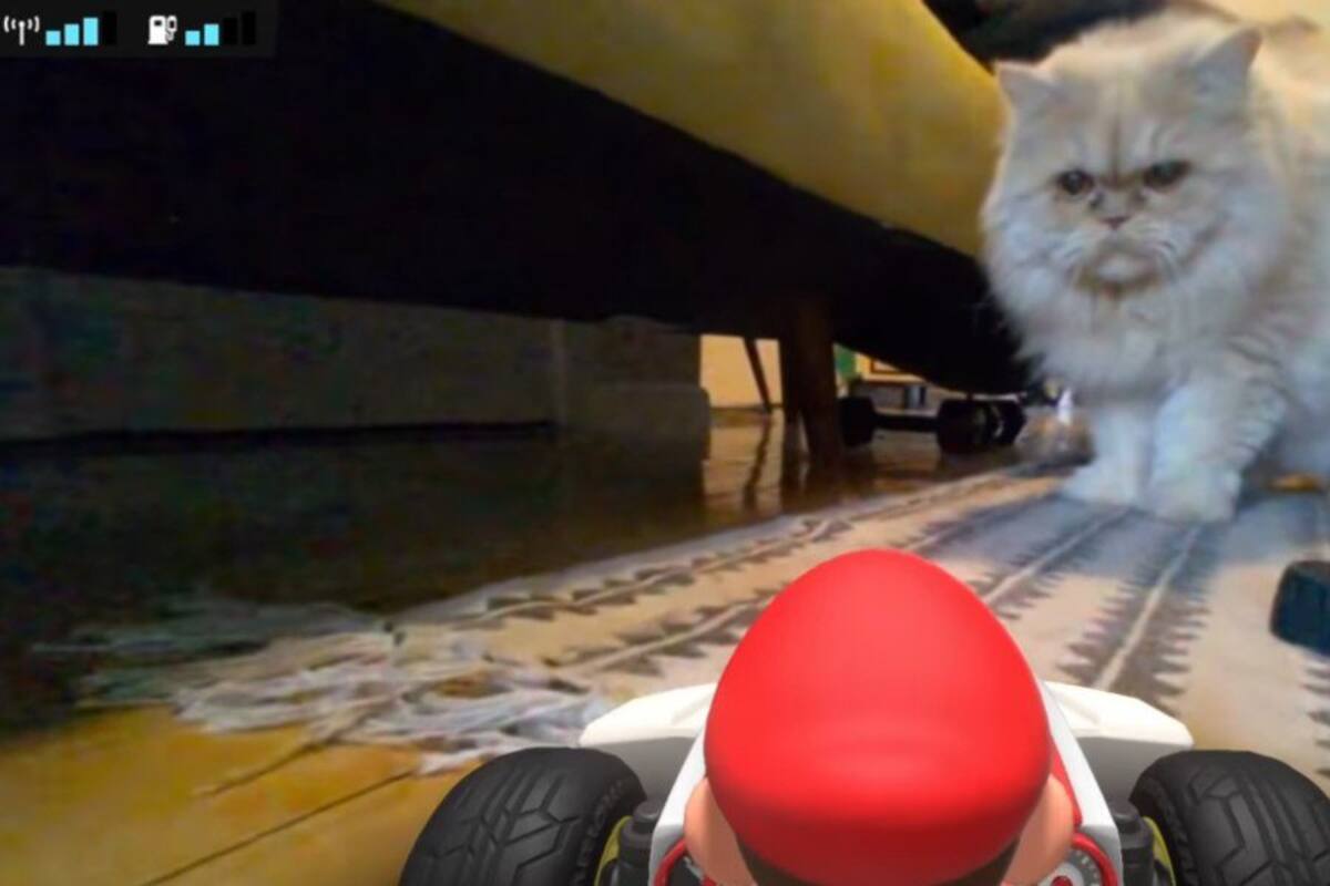 Los gatos están odiando Mario Kart Live: Home Circuit