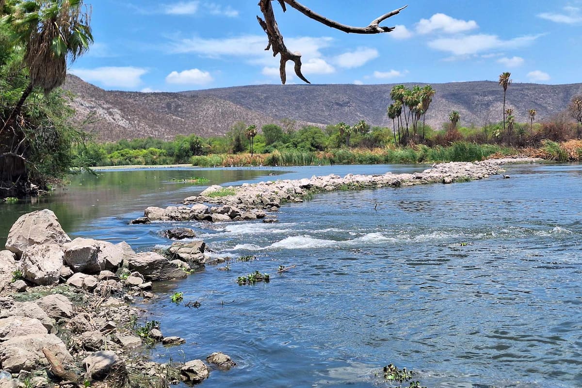 Cierran paseos campestres alrededor de Hornos por aparición de peces muertos