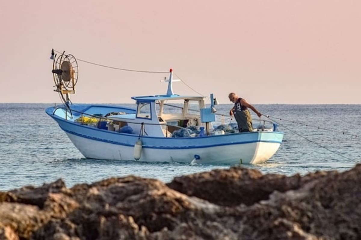 San Felipe produce más de 14 mil toneladas en pesca