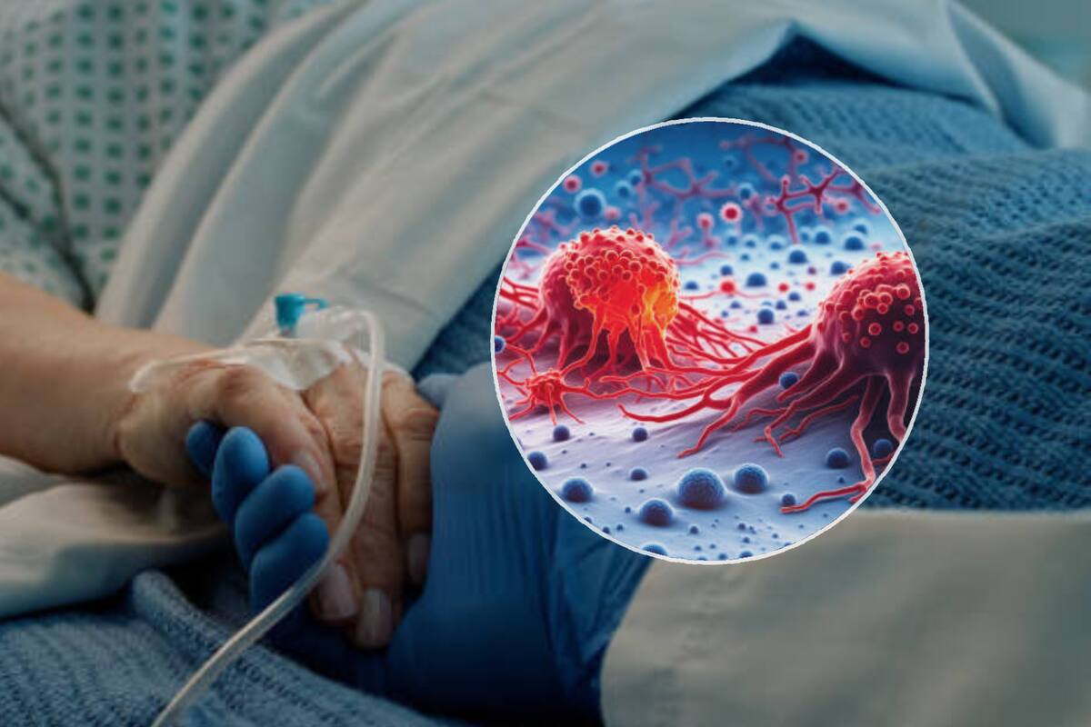 Las células cancerígenas pueden “hibernar” para resistir tratamientos, según estudio