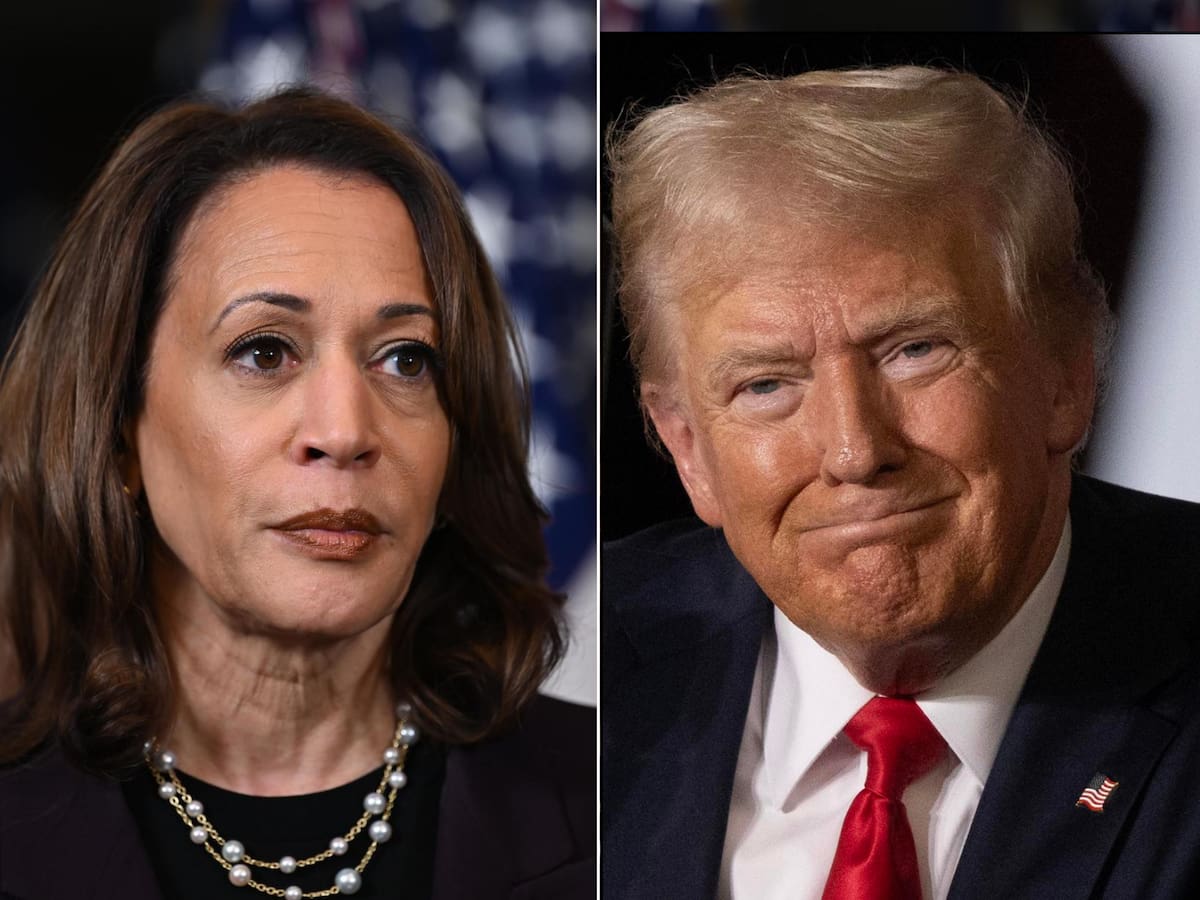 ¿Cómo van las encuestas sobre simpatizantes de Harris y Trump? | Crédito: AP