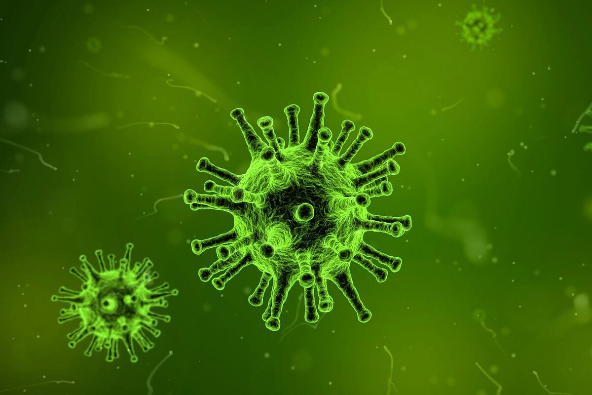 Conferencia de prensa sobre coronavirus en México