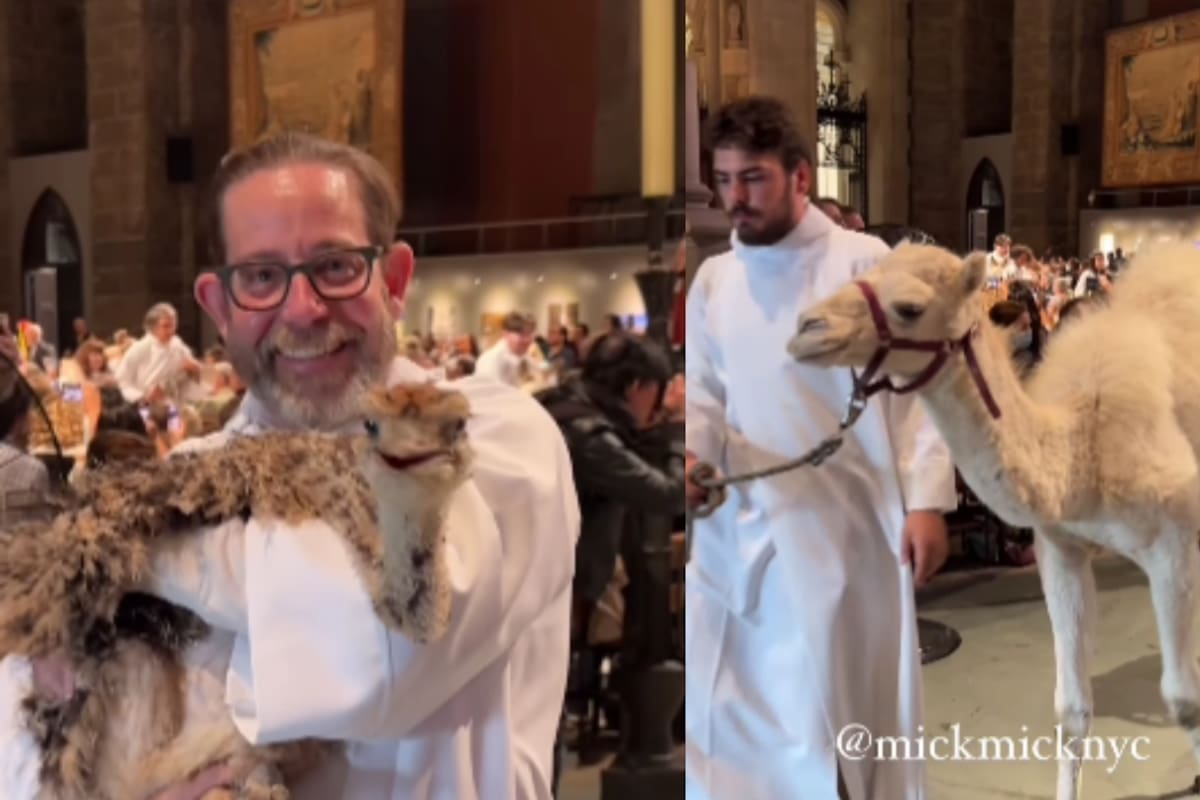 La Catedral de San Juan el Divino en Nueva York se vuelve viral tras ofrecer un servicio para bendecir a las mascotas