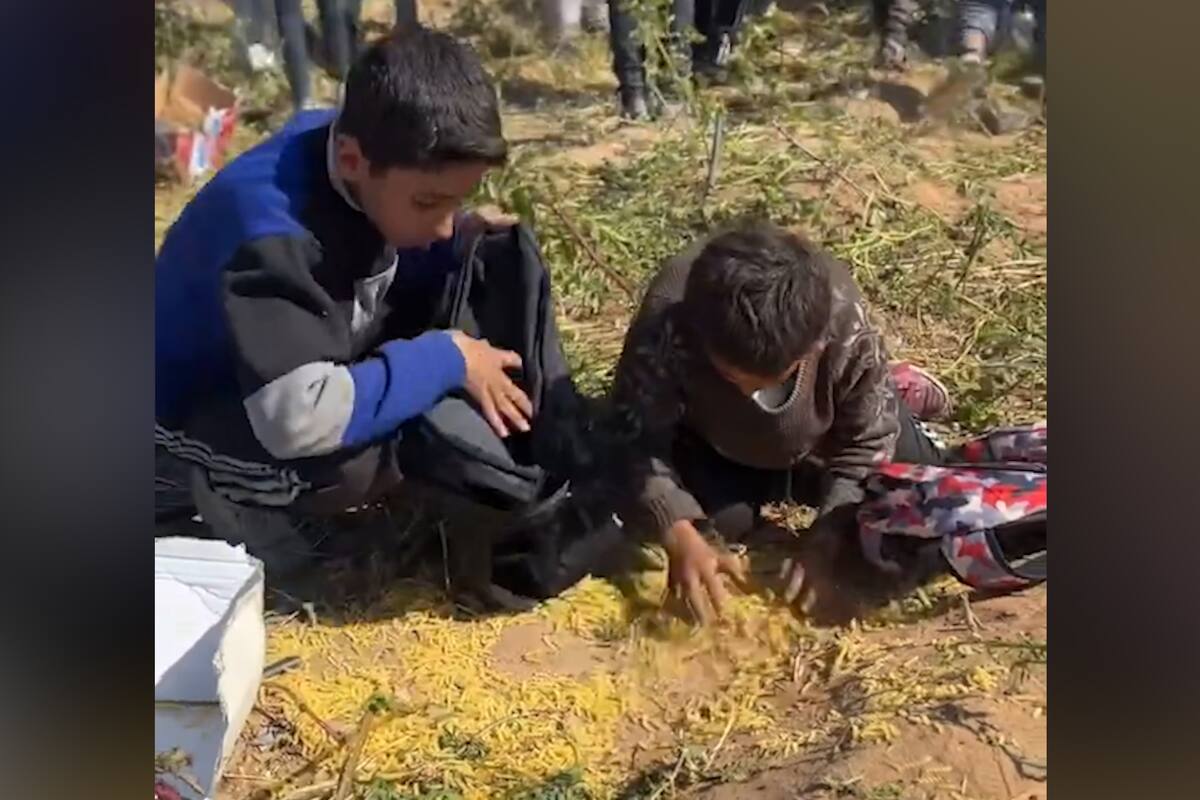 El 70% de Gaza atraviesa hambruna
