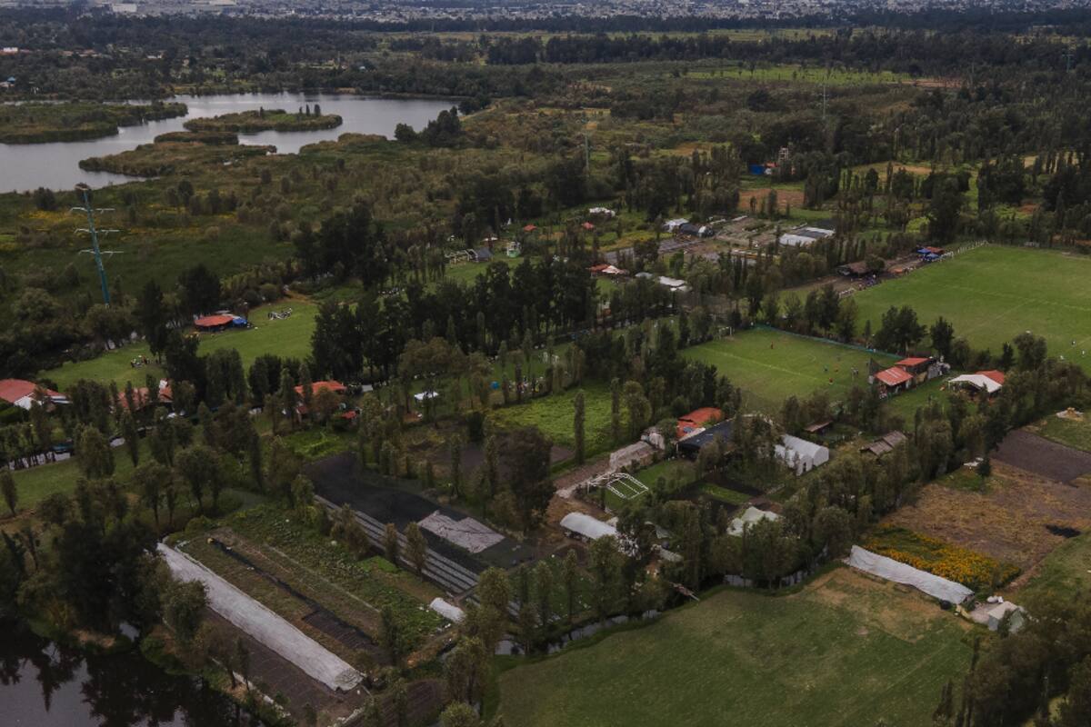 Chinampas: técnica milenaria a punto de desaparecer por urbanización acelerada