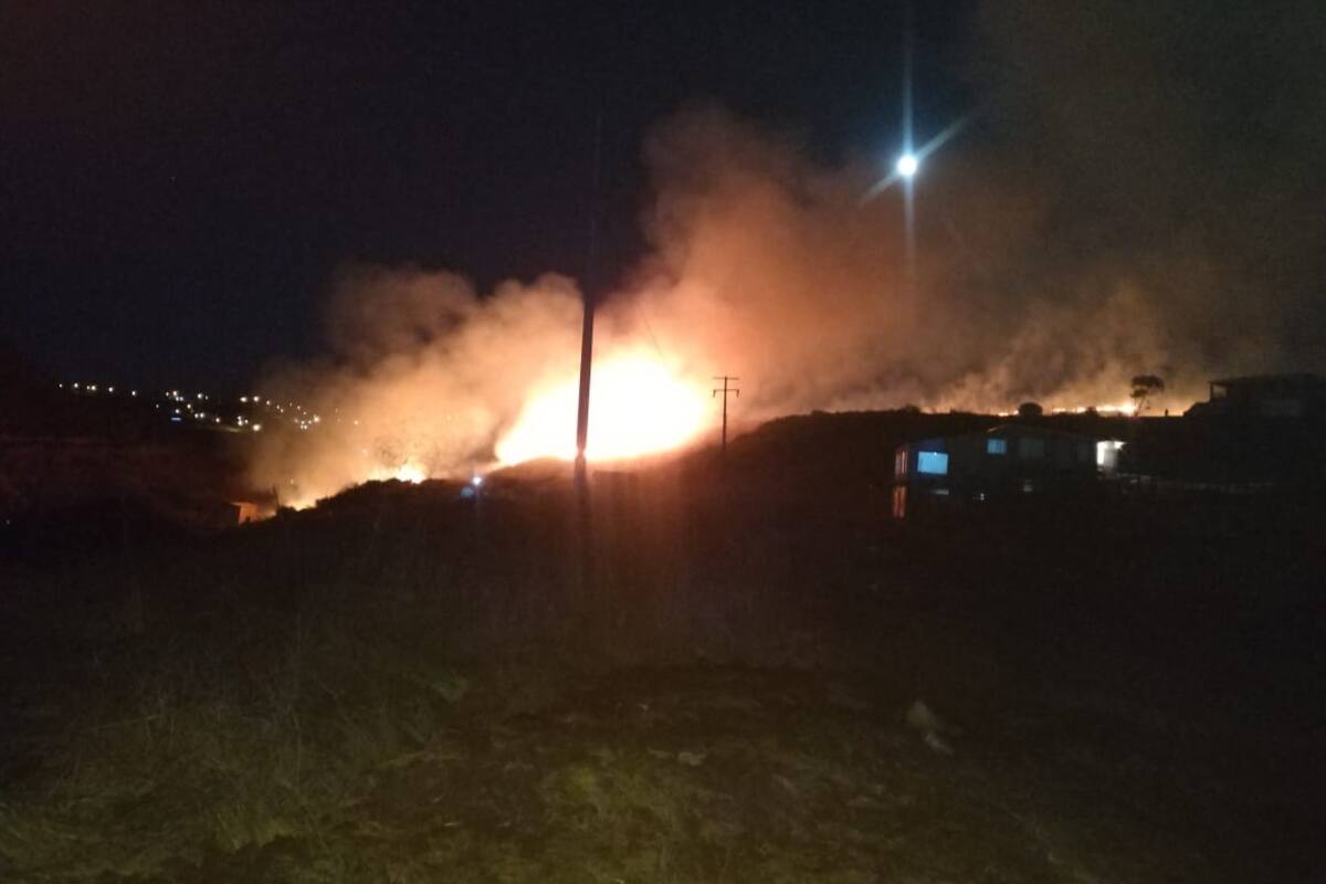 Incendio forestal en Rosarito pone en alerta a la ciudadanía