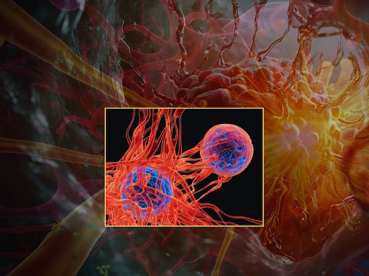Científicos descubrieron un nuevo tratamiento contra el cáncer que eliminaría las células enfermas sin dañar las sanas, y costaría más barato