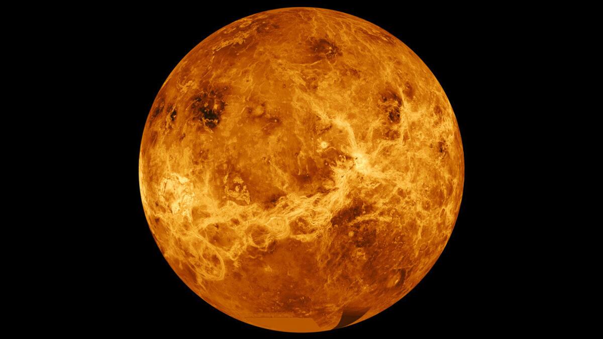 Venus en su máximo esplendor