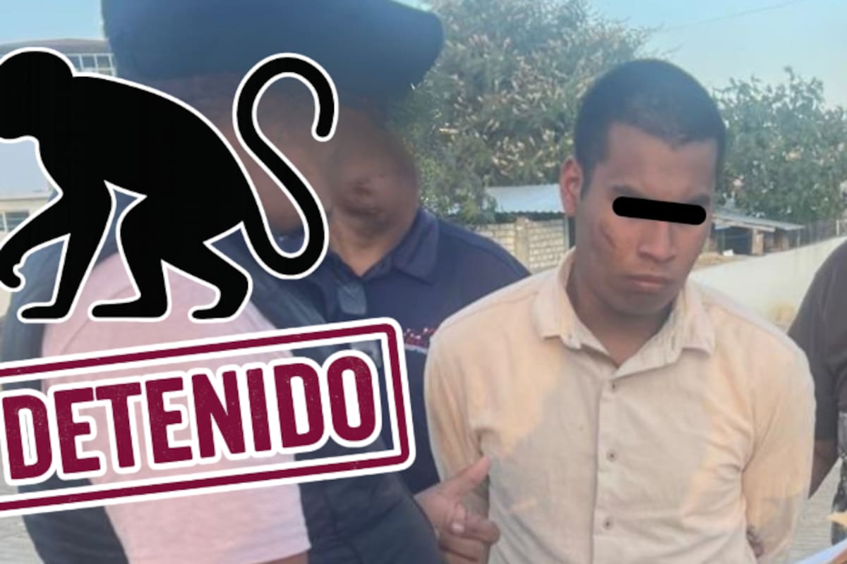 “El Chango” vinculado a proceso y enviado a prisión preventiva por homicidio calificado en Oaxaca; víctima murió tras brutal ataque a golpes en 2024