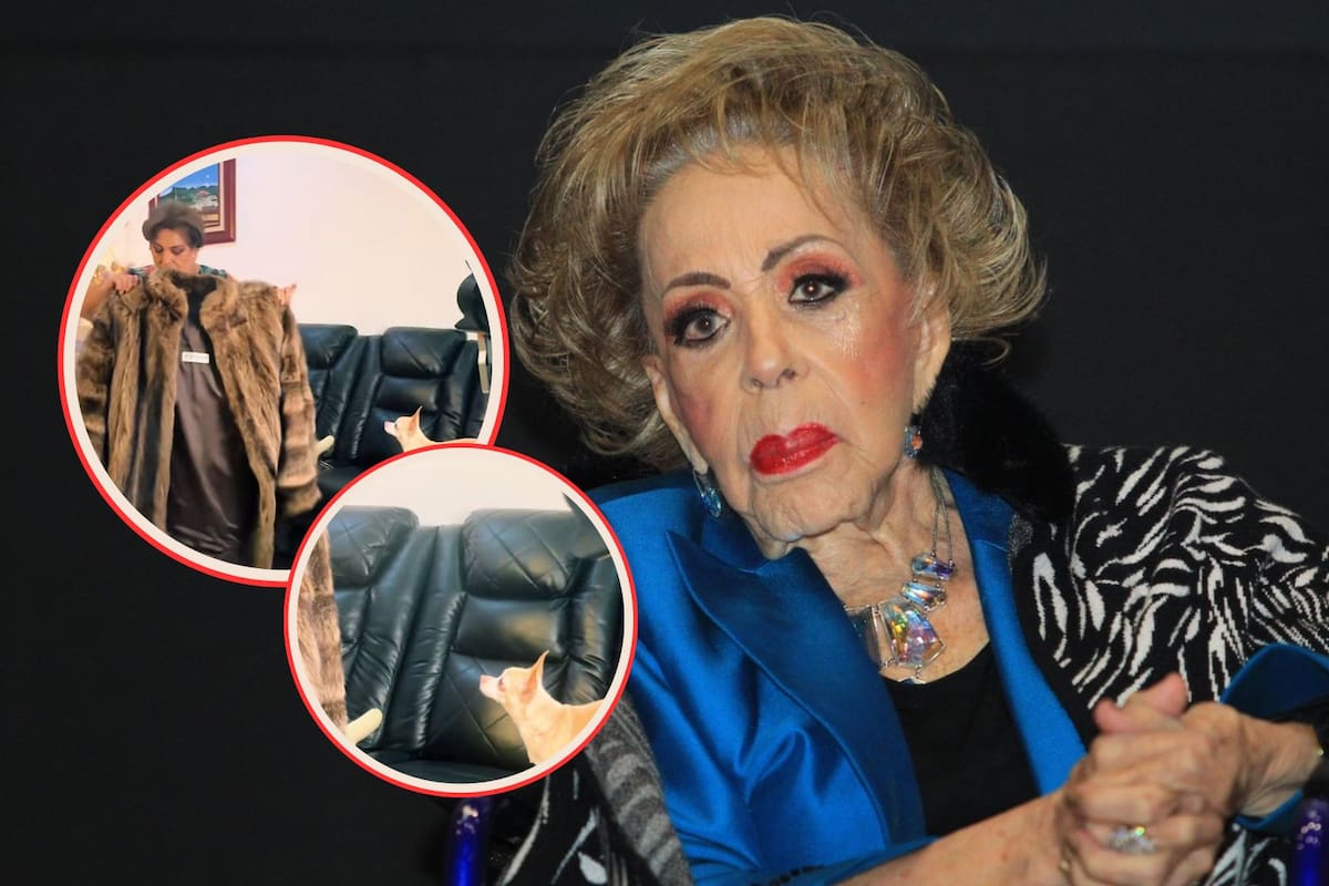 La tierna reacción de “Cosita”, la perrita de Silvia Pinal, al olfatear su abrigo