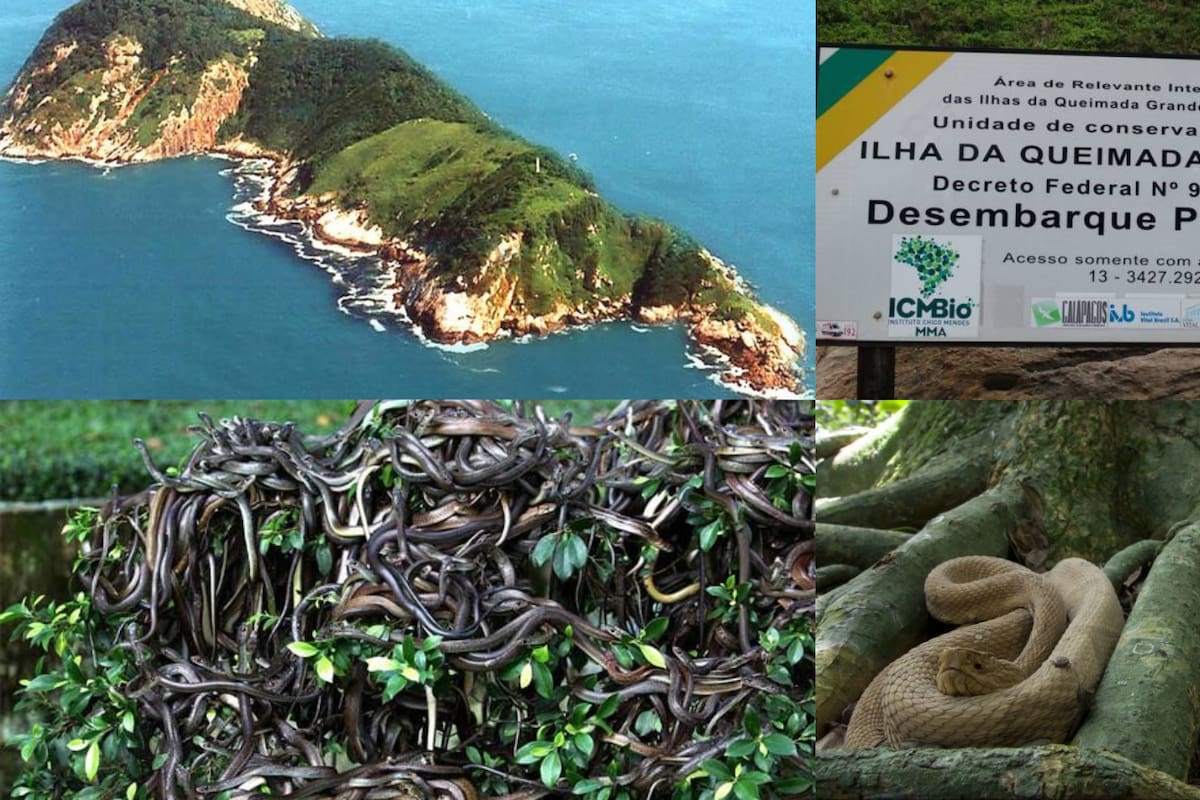 Este es uno de los lugares más peligroso del mundo