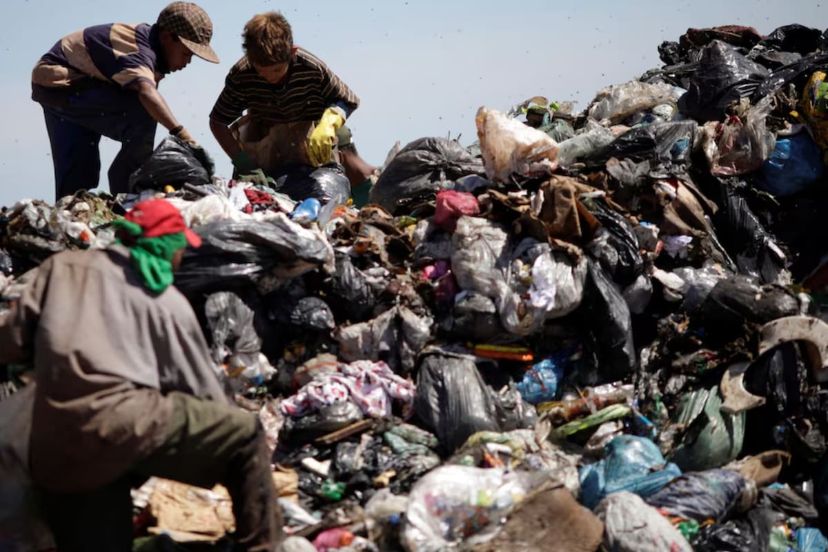 Redes del crimen organizado controlan el tráfico ilegal de residuos en un mercado que crecerá 70% hacia 2050 y llegará a 3 mil 400 millones de toneladas anuales, agravando la contaminación y los riesgos para la salud pública mundial