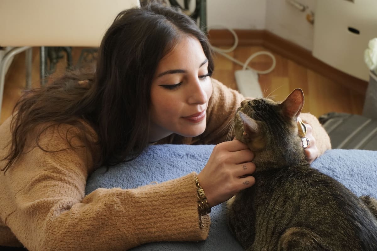En familias con varios integrantes, se observa con mayor frecuencia que la preferencia de los gatos se inclina hacia las mujeres. | pexels