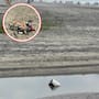 Playa de Rosarito aprueba análisis sanitarios, pero basura y escurrimientos empañan su imagen
