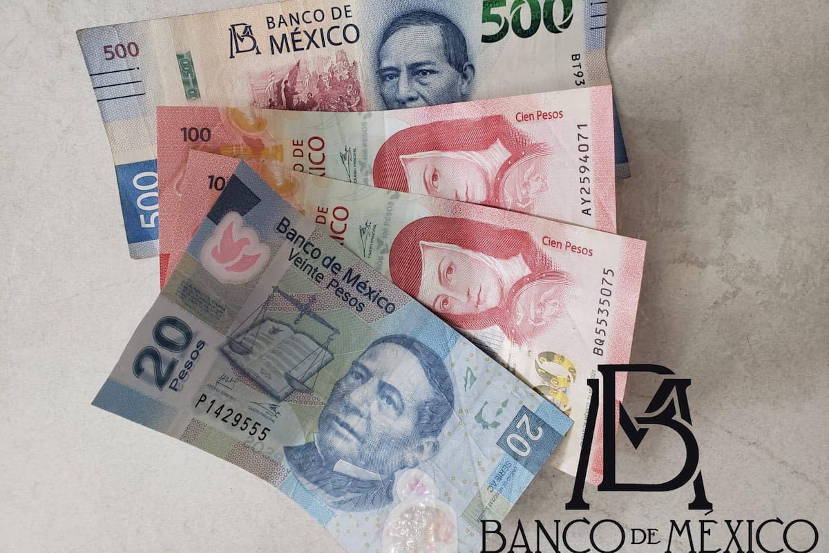 ¿Qué debo hacer si recibo un billete roto, aún vale? Banco de México lo explica