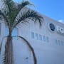 Jóvenes de Rosarito son investigados por presunto abuso sexual a una borrega captado en video