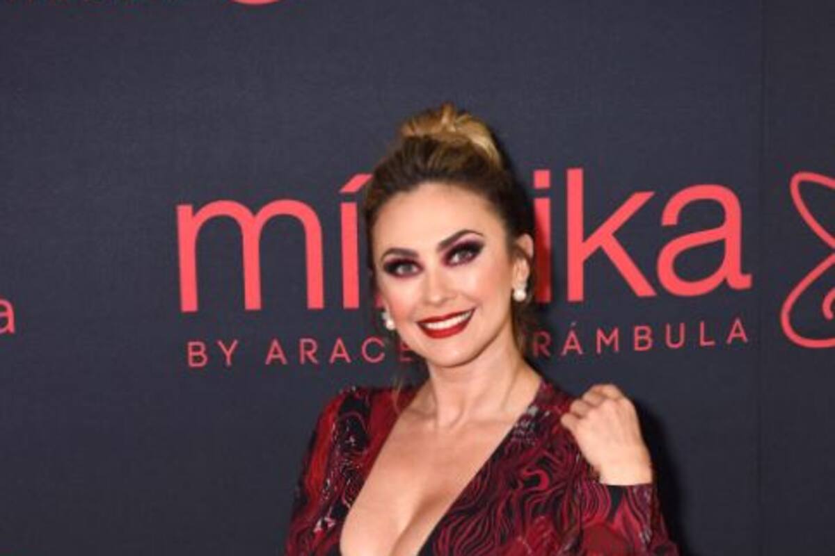 Aracely Arámbula y David Zepeda ¿están saliendo?