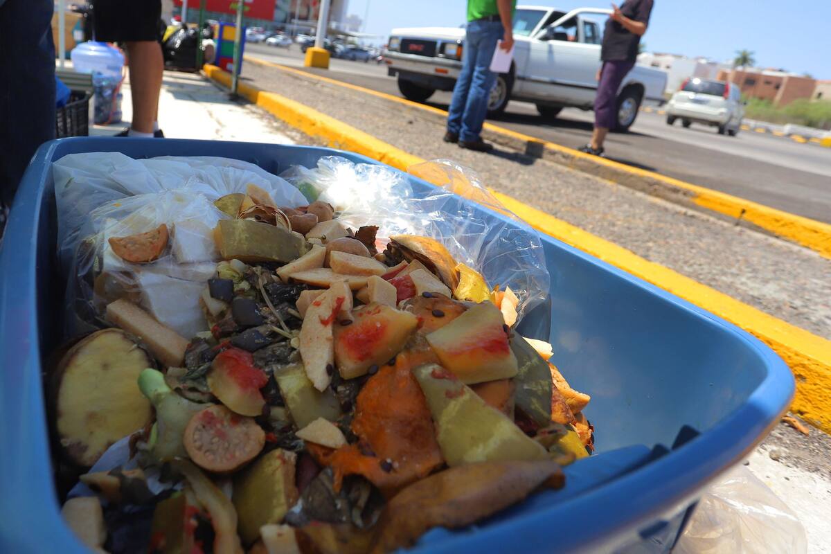 Llevan 200 kilos de desechos orgánicos a los Reciclacentros