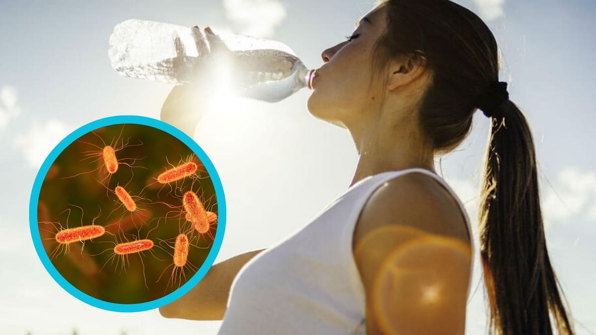 El agua no siempre es tan pura como parece: especialistas advierten que reutilizar botellas sin lavarlas puede convertirlas en foco de bacterias y alterar su sabor, además podría ser más sucio que un baño