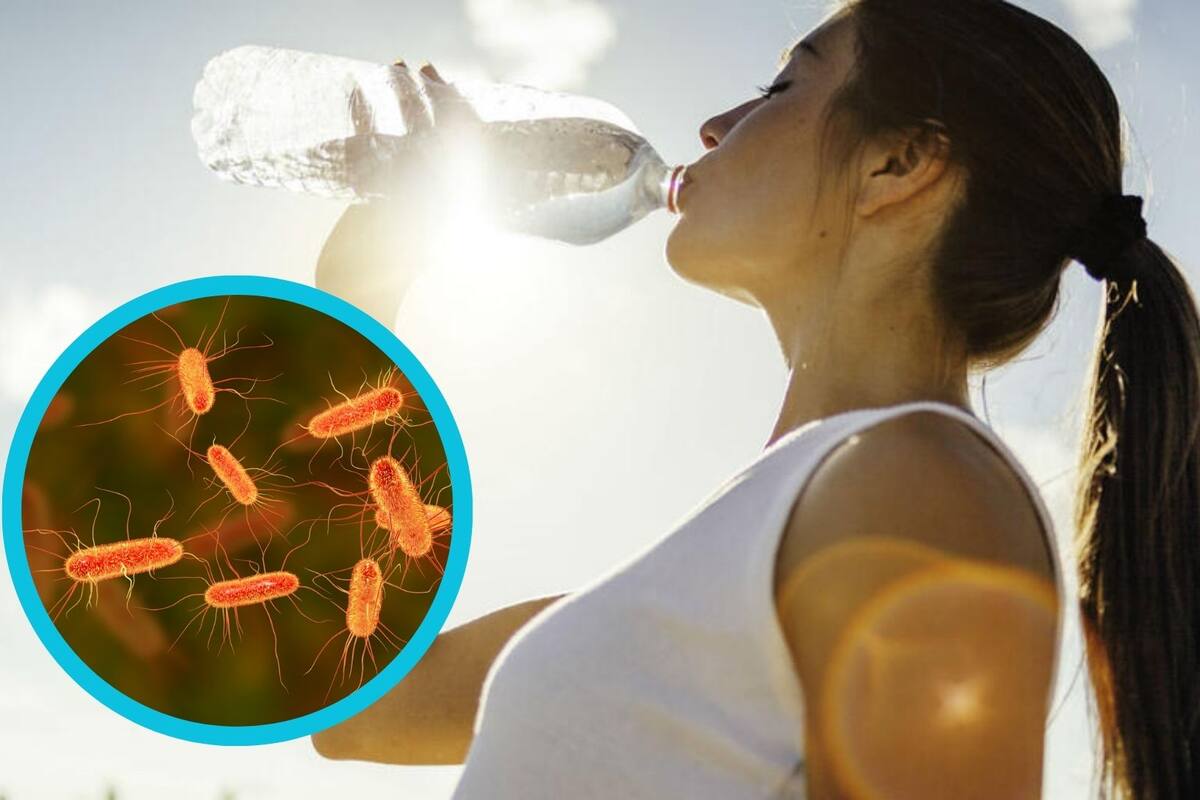 ¿Reutilizas las botellas de plástico para tomar agua? Ten cuidado, pues podría ser un foco de bacterias e infección