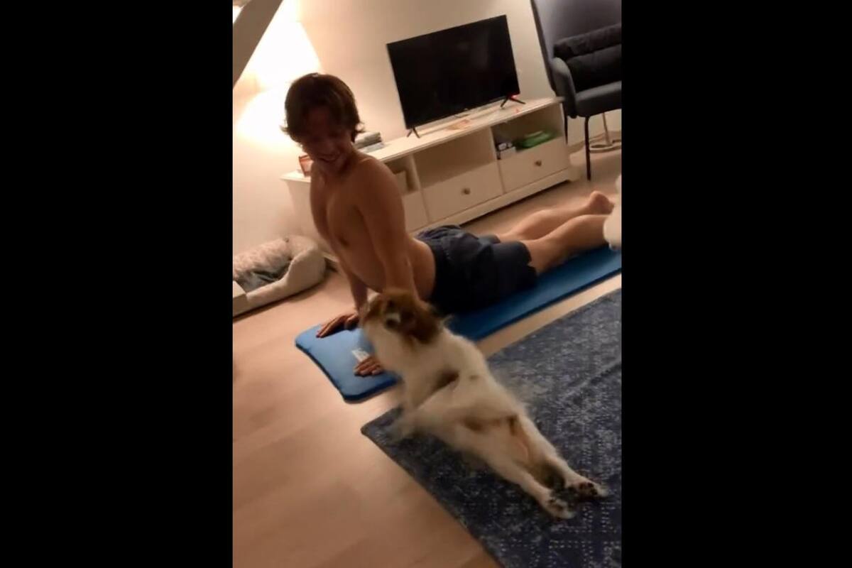 VIDEO VIRAL: Perrito imita las poses de yoga de su dueño