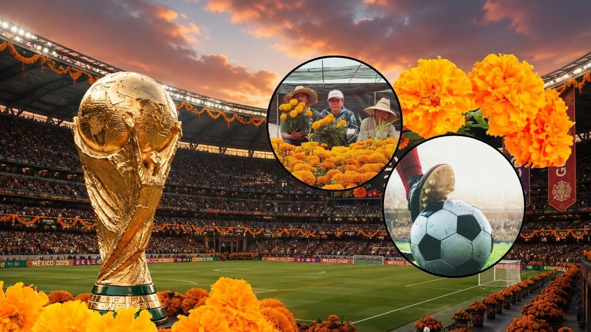El Mundial 2026 adelanta la temporada del cempasúchil en CDMX: la flor de Día de Muertos llegará en junio para decorar la ciudad
