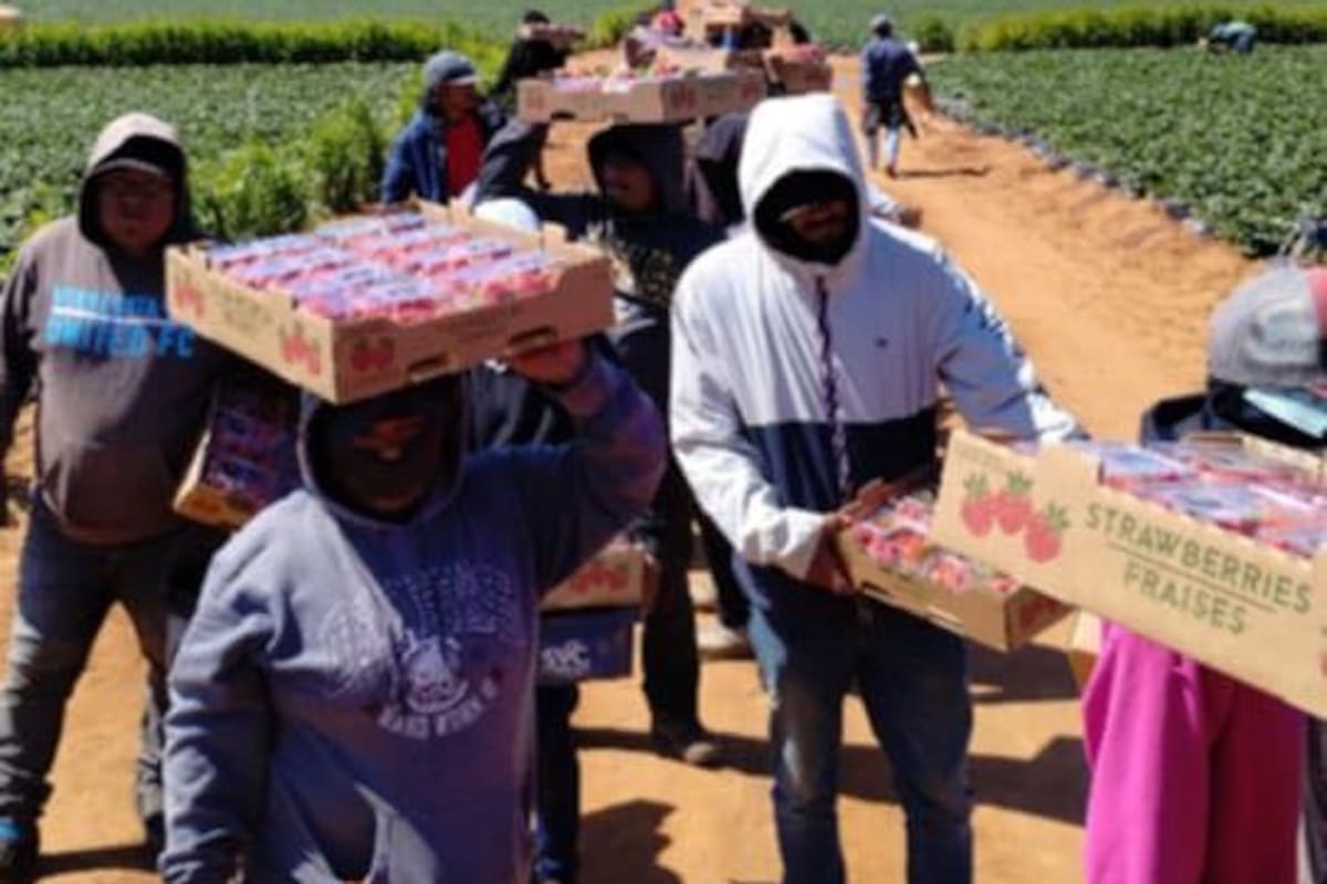 Impulsarán formalidad en ranchos agrícolas de San Quintín con certificado