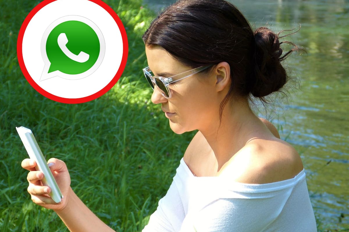 ¿Dónde está la papelera de WhatsApp y cómo vaciarla para liberar espacio en tu celular?