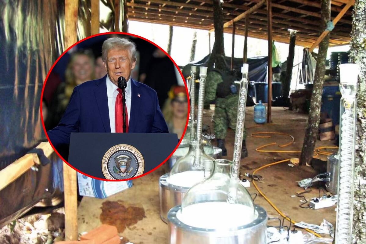 Aumenta 60% el desmantelamiento de narcolaboratorios en México desde el regreso de Trump a la Casa Blanca
