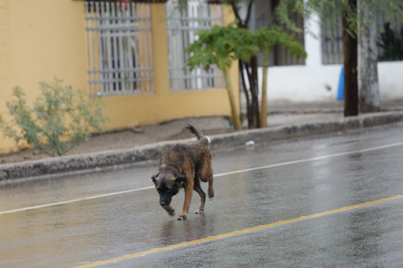 Lluvia en Hermosillo este 16 de septiembre de 2026. | Crédito: Julián Ortega