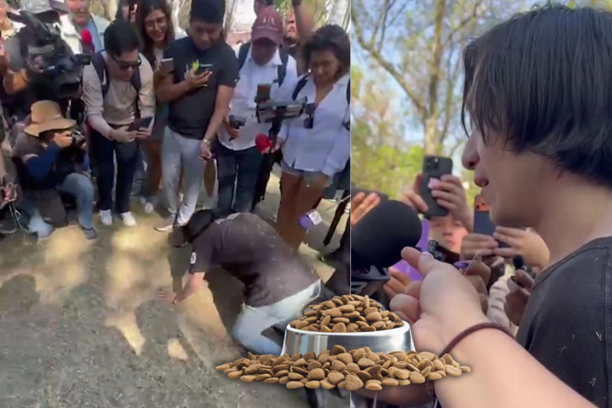 Reunión therian en la UNAM: Captan a adolescente actuando como perro y comiendo algo que parecían croquetas