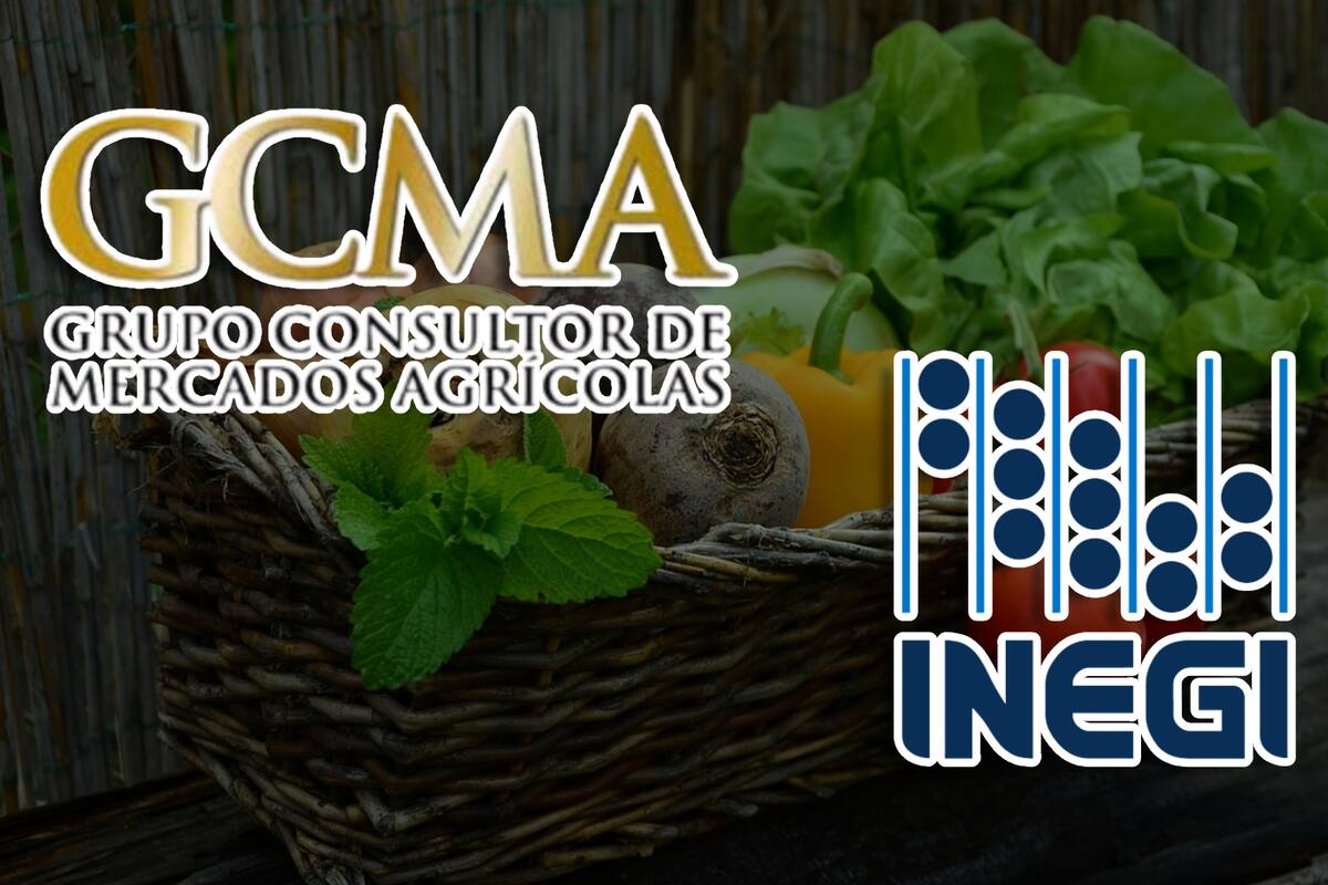 GCMA critica la falta de efectividad en las medidas contra la inflación