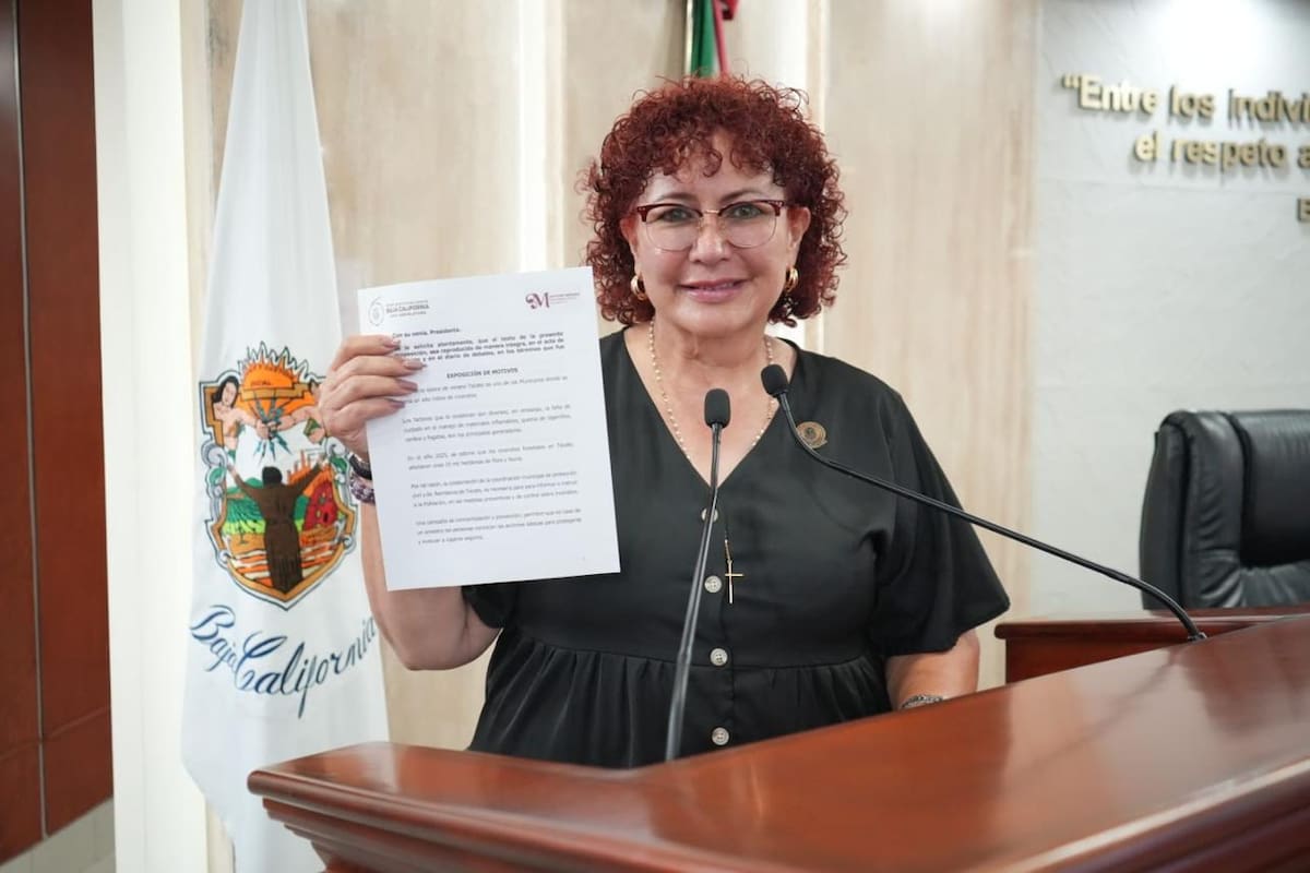 Impulsa diputada creación de un PREP propio para reducir costos electorales en Baja California