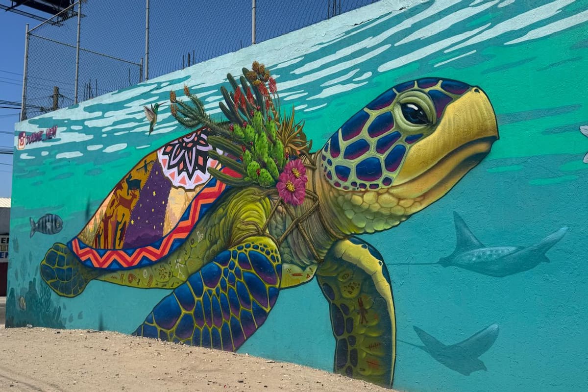 Dual rescata “La Tortuga” un ícono del arte urbano de Rosarito; restaura mural que da identidad a Baja California