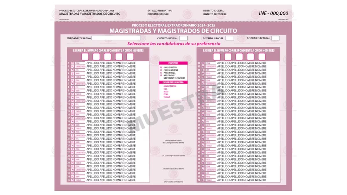 Magistrados circuito