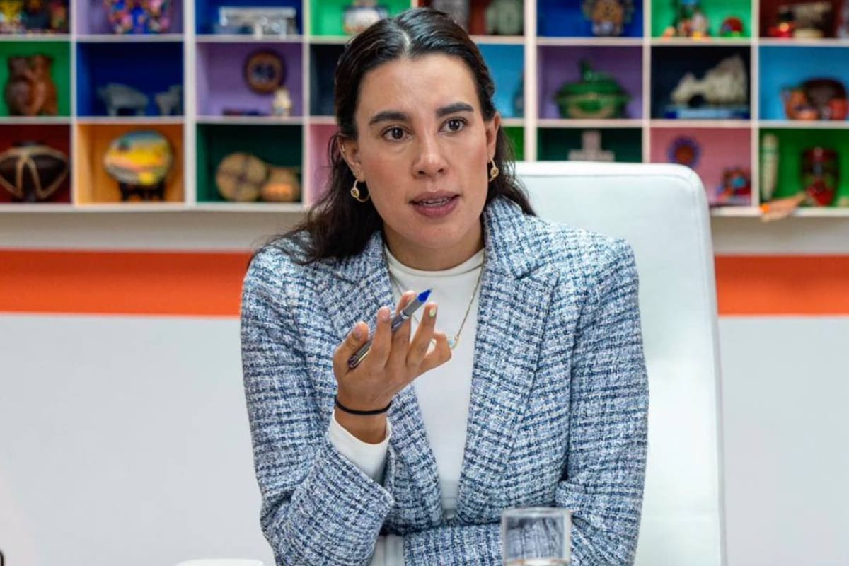 La secretaria de Turismo Josefina Rodríguez reveló que ningún bien material de su propiedad ha sido adquirido con recursos públicos