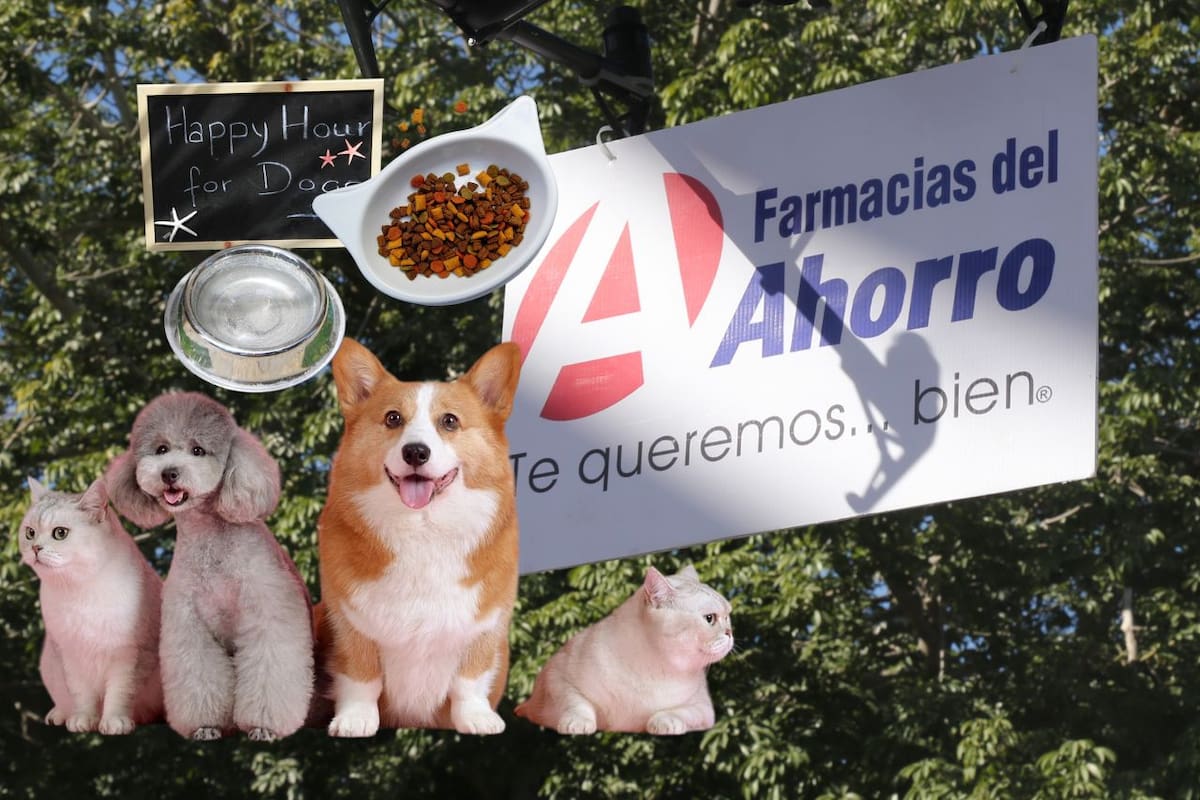 Farmacias del Ahorro le hará competencia a las veterinarias del Doctor Simi: farmacéutica incursiona en el cuidado de mascotas