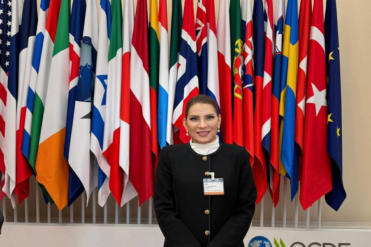 Desde la OCDE, Lorenia Valles destaca participación de México en organismos multilaterales