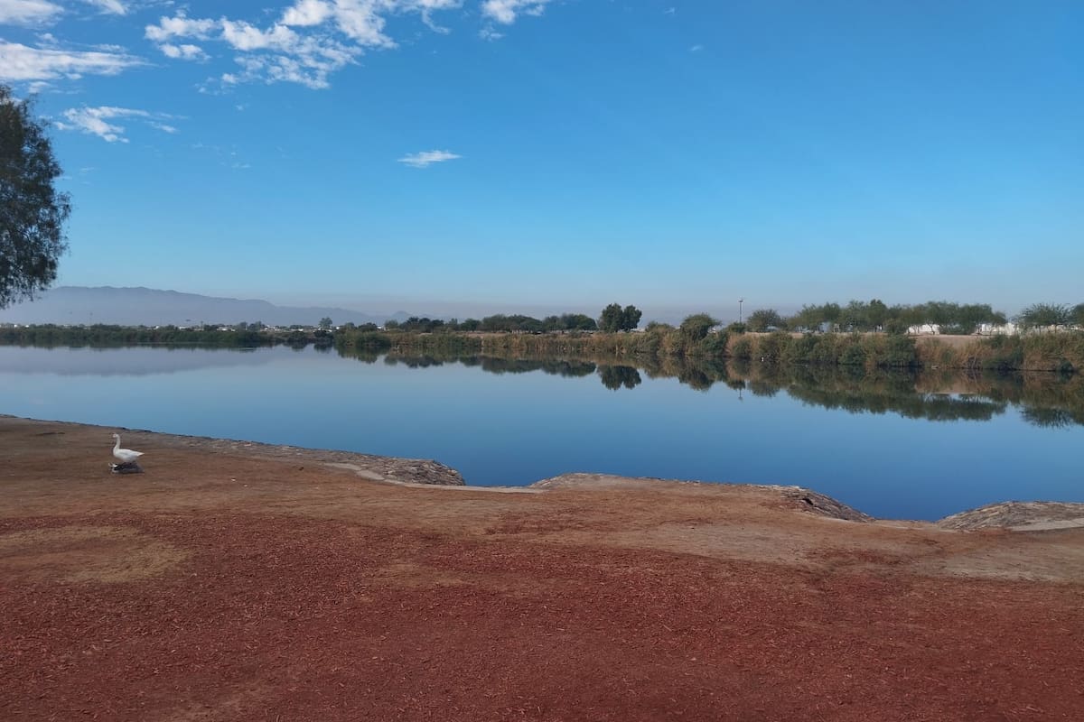 Mexicali tendrá un fin de semana soleado con temperaturas de hasta 32 grados centígrados