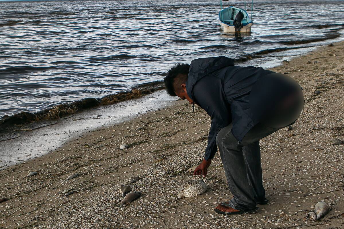 Clima en México: Persistirán lluvias al Sur del País con posible desarrollo ciclónico