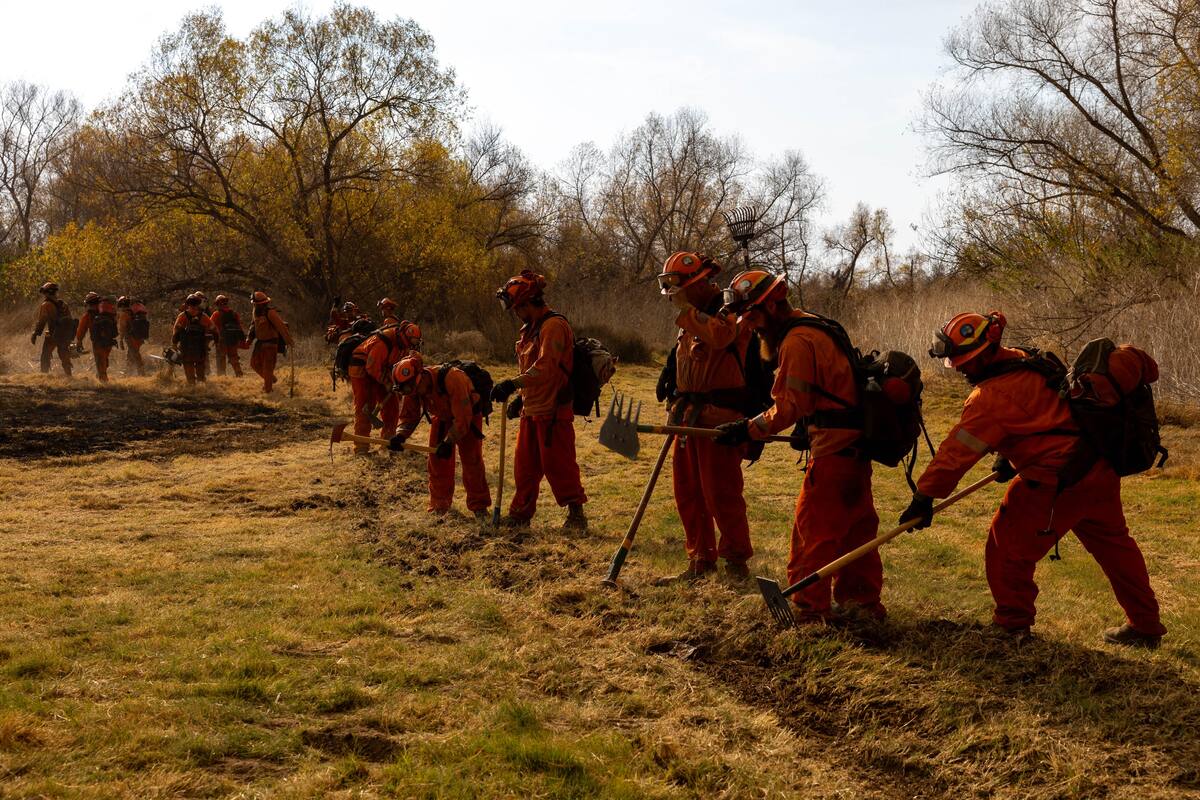 El siniestro denominado “Border 2” inició desde el jueves por la tarde con 10 acres. Foto: Abdiel Ortega