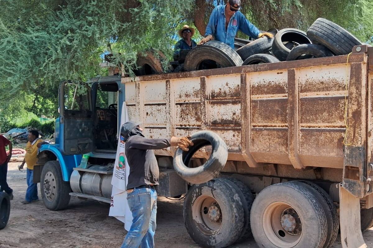 Van cuatro casos de dengue en Navojoa