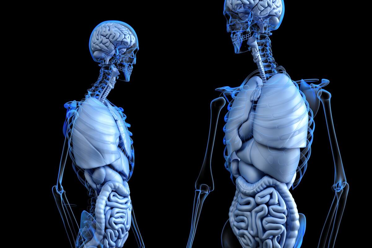 La pelagra, una enfermedad que pone en riesgo tu vida