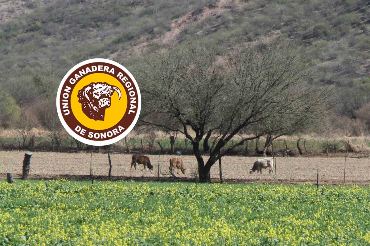 Ganaderos de Sonora sufren más por la inseguridad que por la sequía: UGRS