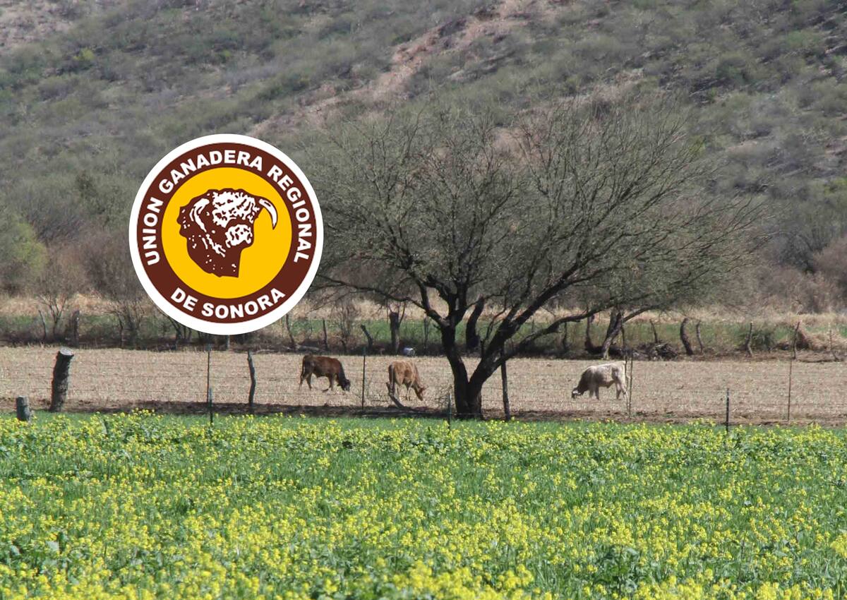 El dirigente de la UGRS explica que le expondrán la situación al gobernador del Estado. FOTO: ESPECIAL