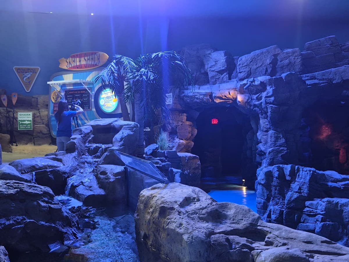 La renovada atracción de SeaWorld San Diego ofrece una experiencia interactiva con tecnología inmersiva, un recorrido submarino y la oportunidad de conocer de cerca distintas especies de tiburones y su conservación. Foto: Andrea García