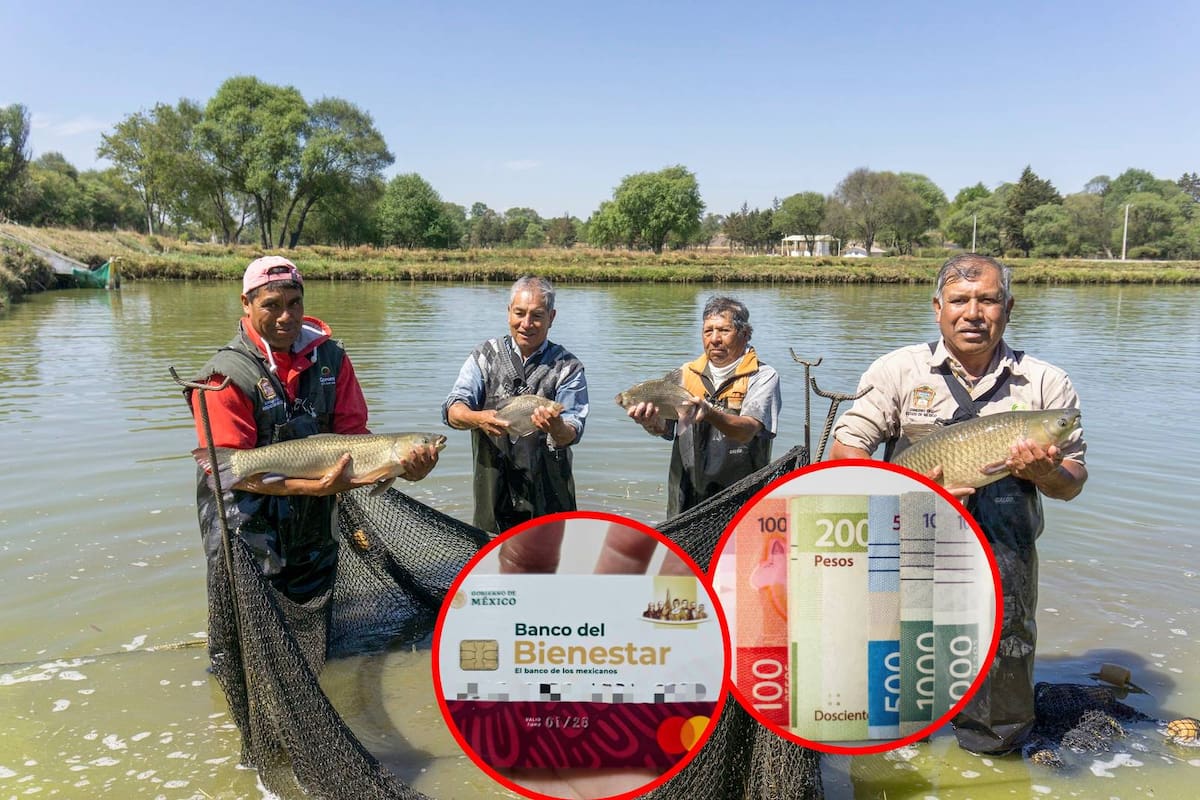 Bienpesca 2026: Pescadores deberán renovar su tarjeta del Banco del Bienestar del 9 al 22 de marzo para recibir el apoyo anual
