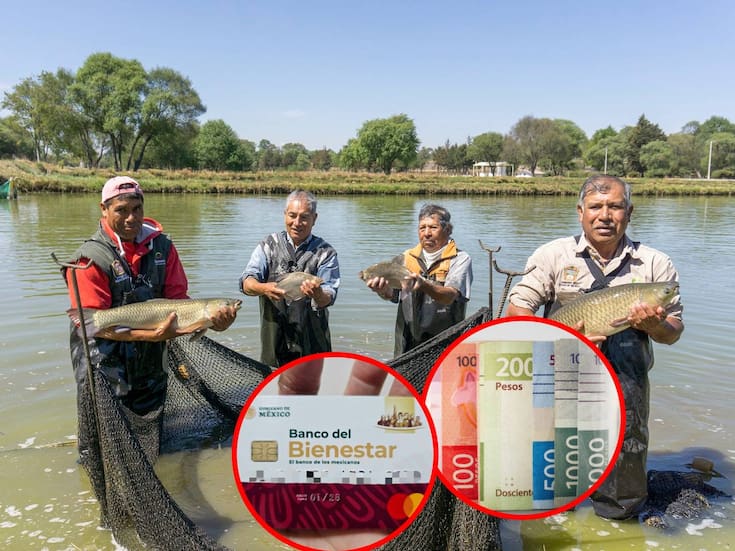 Bienpesca 2026: Pescadores deberán renovar su tarjeta del Banco del Bienestar del 9 al 22 de marzo para recibir el apoyo anual